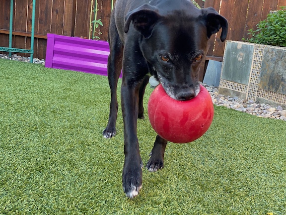 Doing what she loved best—playing ball.